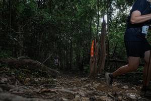 BIB: 
                            <button type="button" onclick="openModal(25786015)" class="btn btn-primary btn-sm float-right btn-popup" data-toggle="modal" data-target=".modal-high-quality">
                        <i class="fas fa-shopping-cart"></i> Add to Cart
                    </button>
                                            <button type="button" onclick="isThisMe(25786015, true)" class="btn btn-success btn-sm float-right btn-popup btn-isme hidden" data-toggle="tooltip" data-placement="bottom" title="นี่คือรูปของคุณใช่ไหม คลิกที่นี่เพื่อเอาเข้าอัลบั้ม">
                        <i class="fas fa-plus"></i> Add to album
                    </button>
                    <button type="button" onclick="isThisMe(25786015, false)" class="btn btn-warning btn-sm float-right btn-popup btn-isnotme hidden">
                        <i class="fas fa-ban"></i> Remove from album
                    </button>